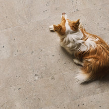Load image into Gallery viewer, Hoburg kalksten slebet
